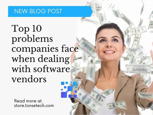Top 10 problems companies face when dealing with software vendors