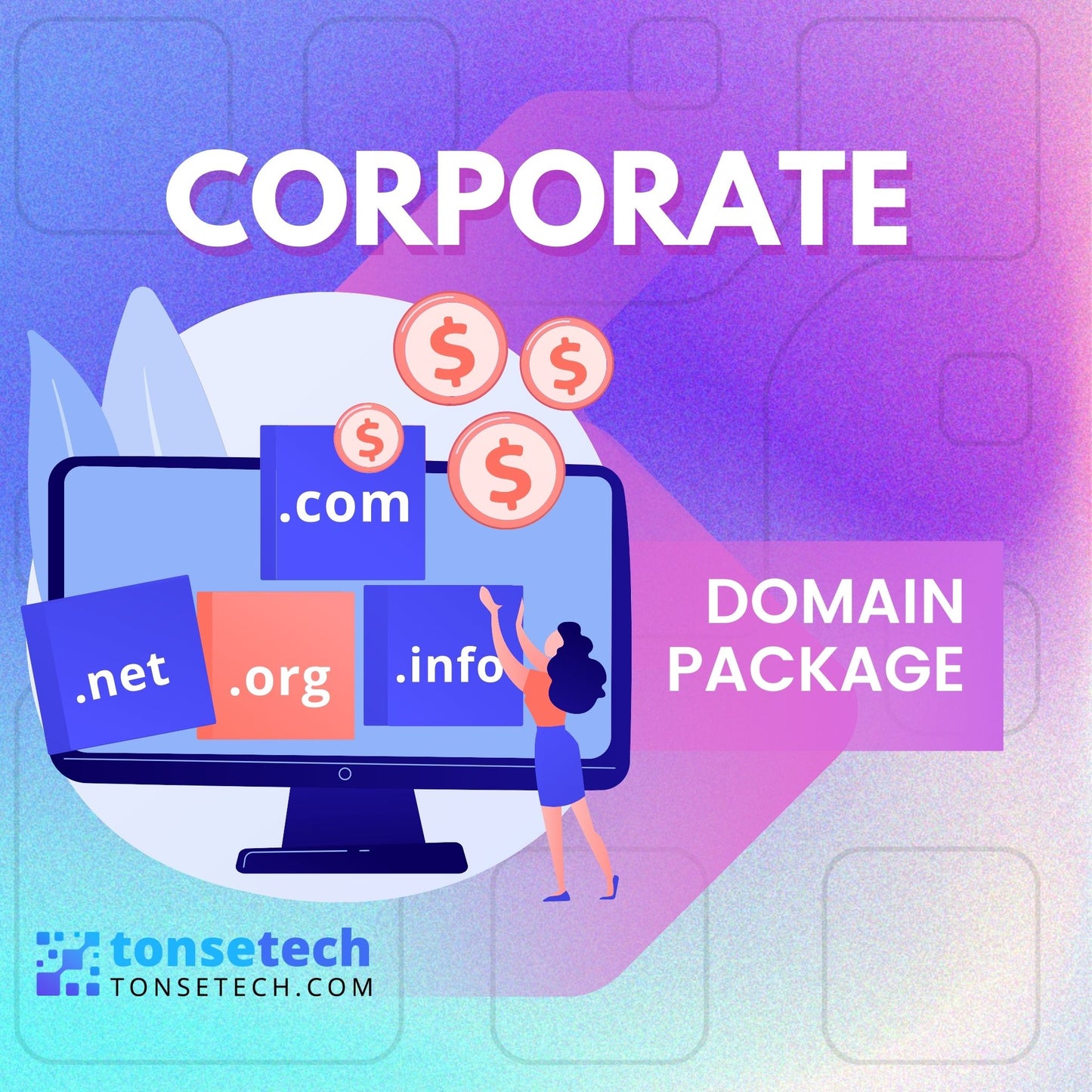 Corporate Domain Package